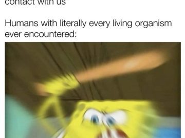 Blurry SpongeBob holding a bat reacting to aliens avoiding humans.