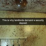 A kitchen ceiling and wall splattered with food, showcasing an epic cooking fail.