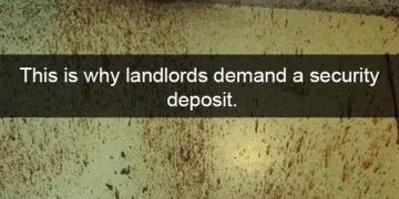 A kitchen ceiling and wall splattered with food, showcasing an epic cooking fail.