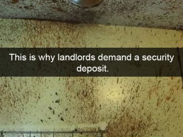 A kitchen ceiling and wall splattered with food, showcasing an epic cooking fail.