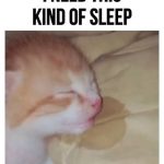 Adorable kitten sleeping soundly with tongue out on pillow