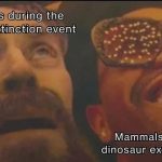 Two contrasting reactions to the dinosaur extinction event.