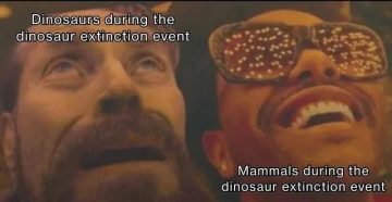 Two contrasting reactions to the dinosaur extinction event.