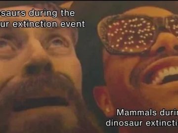 Two contrasting reactions to the dinosaur extinction event.
