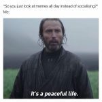 A pensive man justifying a life of meme browsing as peaceful.