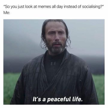 A pensive man justifying a life of meme browsing as peaceful.