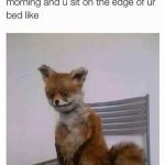 Taxidermy fox sitting on a chair, embodying early morning struggle.