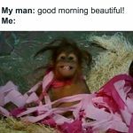 Orangutan wrapped in pink paper with a messy hairstyle.