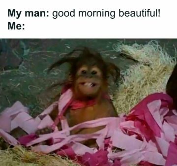 Orangutan wrapped in pink paper with a messy hairstyle.