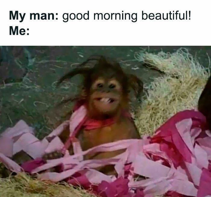Orangutan wrapped in pink paper with a messy hairstyle.