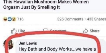 Meme about a Hawaiian mushroom scent and humorous comment request.