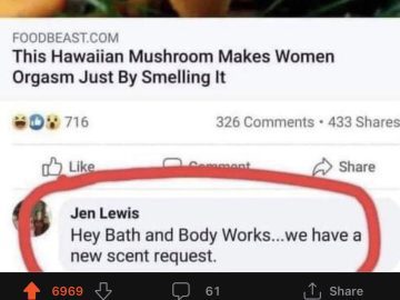 Meme about a Hawaiian mushroom scent and humorous comment request.