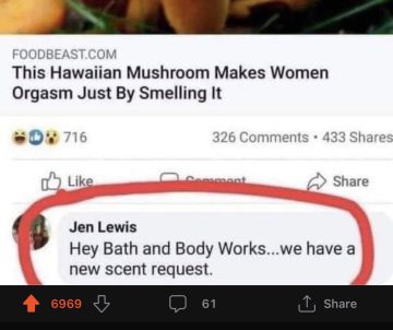 Meme about a Hawaiian mushroom scent and humorous comment request.