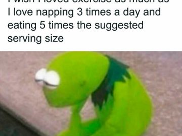 Meme of a frog contemplating love for napping over exercise