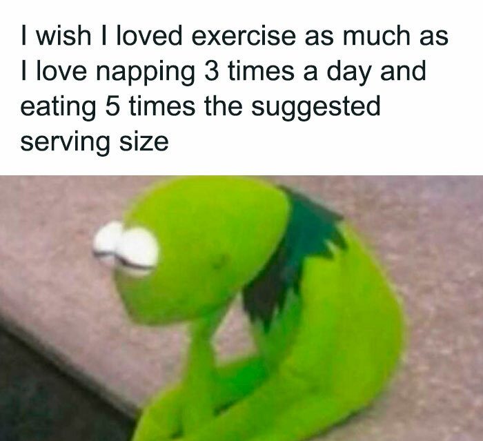 Meme of a frog contemplating love for napping over exercise