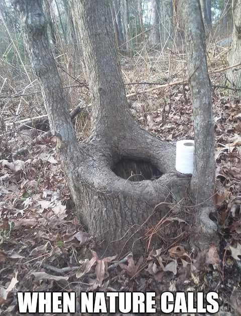 Tree with a toilet paper roll, captioned "When Nature Calls"