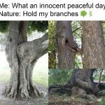 Trees with funny shapes creating comedic natural scenes