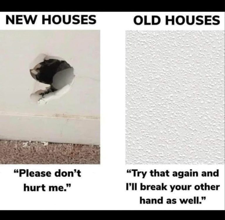 New vs old houses meme comparing wall strength humorously.