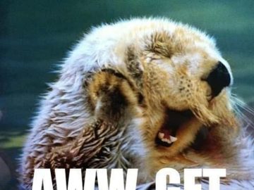 Adorable otter smiling with the text "You think I'm cute? Aww, get otter here."