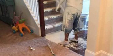 Man accidentally spills white paint everywhere in a staircase mishap.