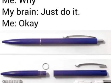 A relatable meme about the urge to take apart a pen for no reason.