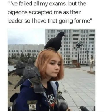 Girl with pigeons on her head, caption about failing exams but leading pigeons.