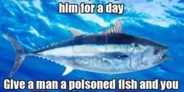 Image of a fish with dark humor text about poisoned fish.