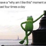 Kermit leans on a pole, pondering life's mysteries.