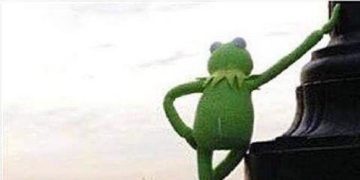 Kermit leans on a pole, pondering life's mysteries.