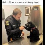 Puppy sitting at vet with officer, reporting a stolen treat