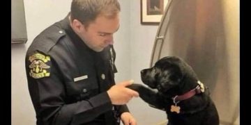 Puppy sitting at vet with officer, reporting a stolen treat