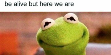 Kermit meme about being too young to be tired with sarcastic humor