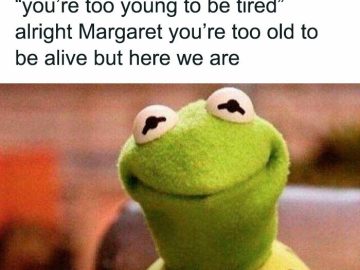 Kermit meme about being too young to be tired with sarcastic humor