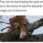 Leopard looks intense while holding prey, capturing savage humor.