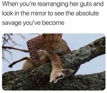 Leopard looks intense while holding prey, capturing savage humor.