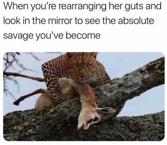 Leopard looks intense while holding prey, capturing savage humor.