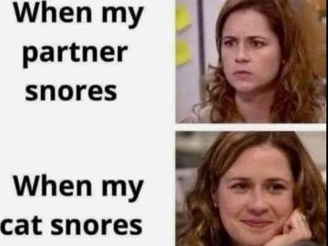 Meme comparing reactions to partner snoring vs. cat snoring.