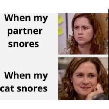 Meme comparing reactions to partner snoring vs. cat snoring.