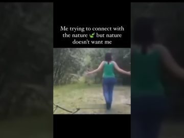 Thumbnail for Nature Had Other Plans for This Peaceful Moment showing a calm outdoor moment turning into an unexpected funny fail