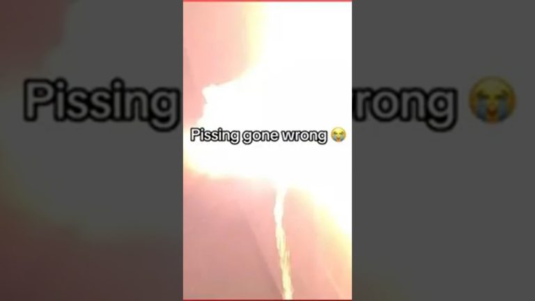 Thumbnail for a funny short featuring pet chaos, indoor mishaps, and awkward home fails.