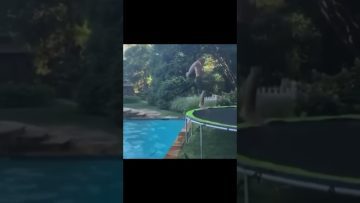 Thumbnail for a funny short showing a split-second mistake that turns into an awkward comedic moment.