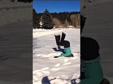 A funny YouTube Shorts moment showing a normal scene suddenly turning into chaos.