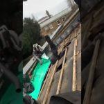 Funny short video showing an unexpected moment that quickly turns chaotic