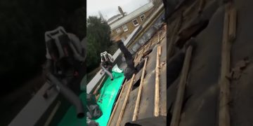 Funny short video showing an unexpected moment that quickly turns chaotic