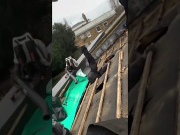 Funny short video showing an unexpected moment that quickly turns chaotic