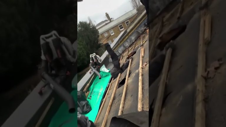 Funny short video showing an unexpected moment that quickly turns chaotic