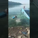 Funny short video featuring an unexpected moment that quickly turns chaotic