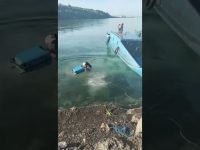 Funny short video featuring an unexpected moment that quickly turns chaotic