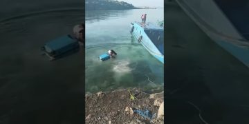 Funny short video featuring an unexpected moment that quickly turns chaotic