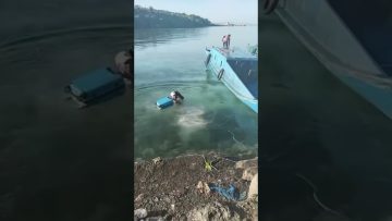 Funny short video featuring an unexpected moment that quickly turns chaotic